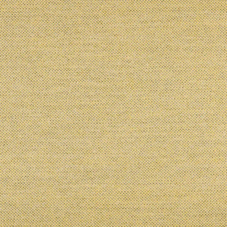New AGORA Tissu Panama