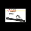 Online Antal Chariot avale-tout 4 Race T100 1:1
