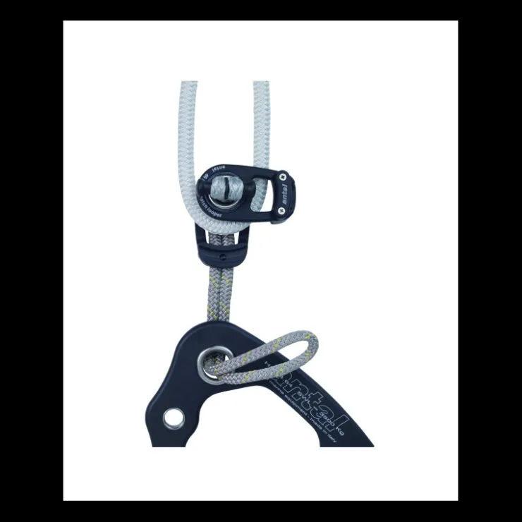 Antal LOOPER Poulie Ouvrante