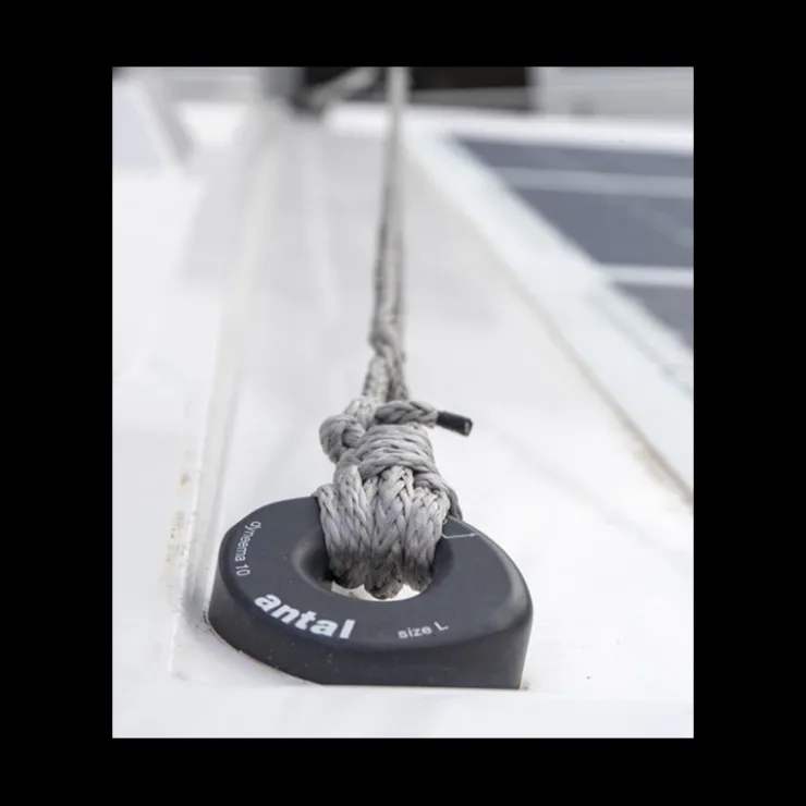 New Antal Pad-Eye pour Dyneema