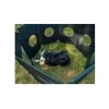 Sale Camp4 Enclos pour chien