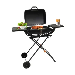 Sale Camp4 Malibu - Support BBQ