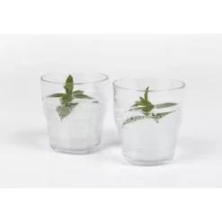 Outlet Camp4 Pichet avec verres