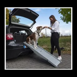 Camp4 Rampe Emma pour chien