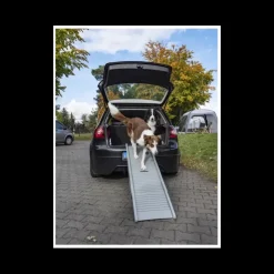 Camp4 Rampe Emma pour chien
