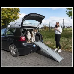 Camp4 Rampe Emma pour chien