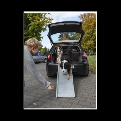 Camp4 Rampe Emma pour chien