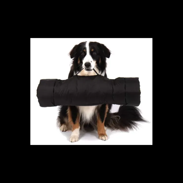 Best Camp4 Tapis Abby pour chien