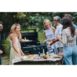 Best Campingaz Barbecue Onyx 4 S