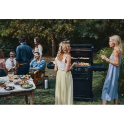 Best Campingaz Barbecue Onyx 4 S