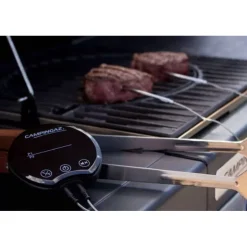 Best Campingaz Thermomètre connecté barbecues