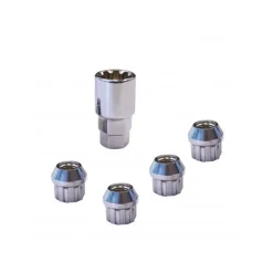 Discount Carpoint Antivol de roue