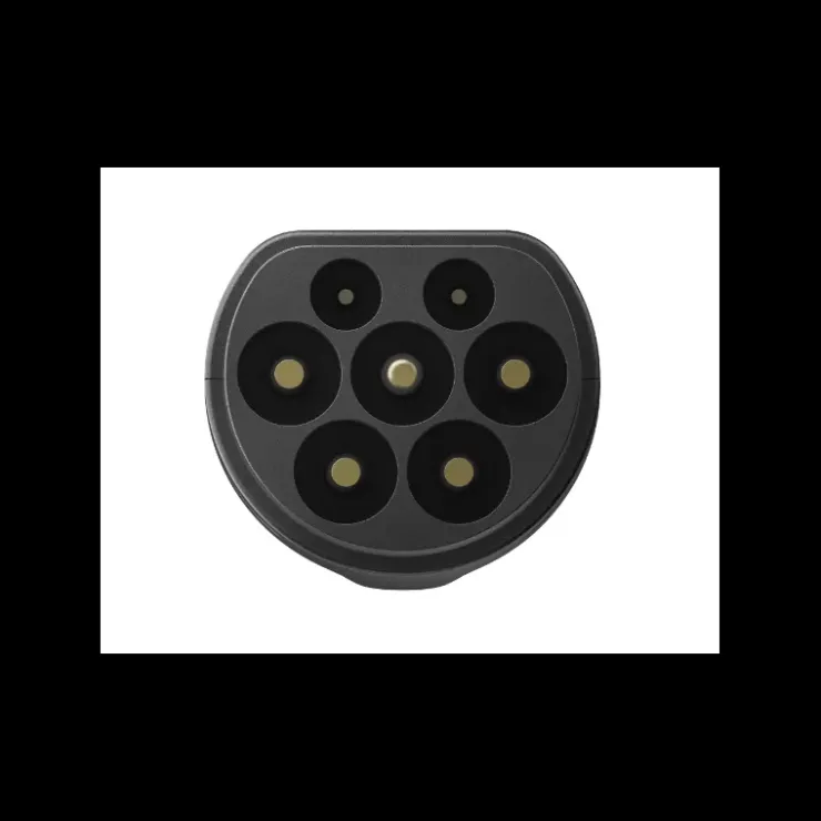 New EcoFlow Adaptateur de charge Delta pro - Véhicule électrique