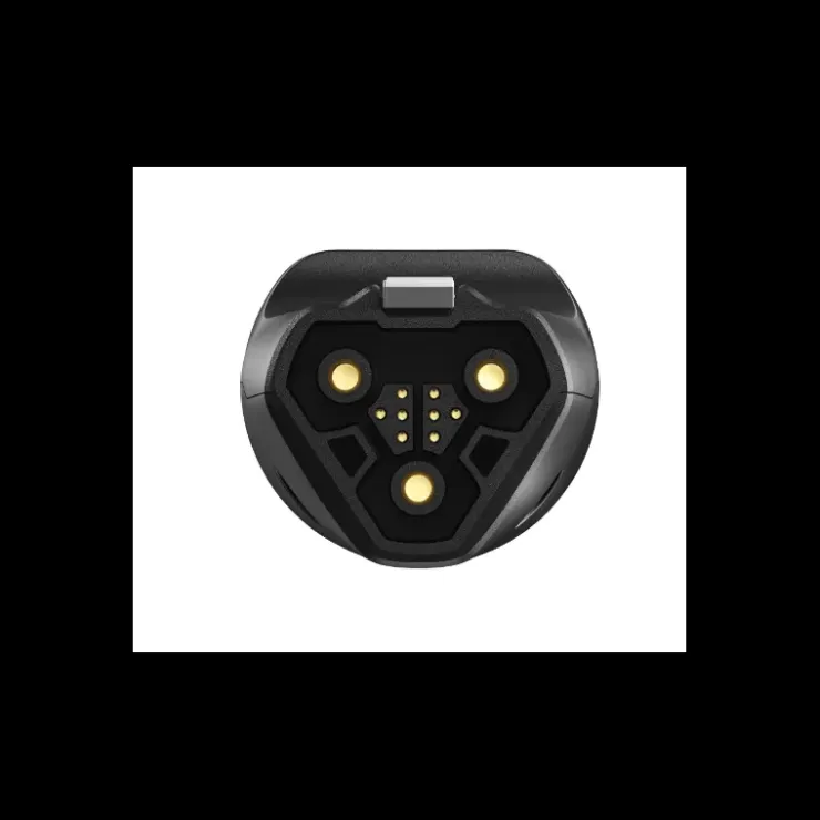 New EcoFlow Adaptateur de charge Delta pro - Véhicule électrique