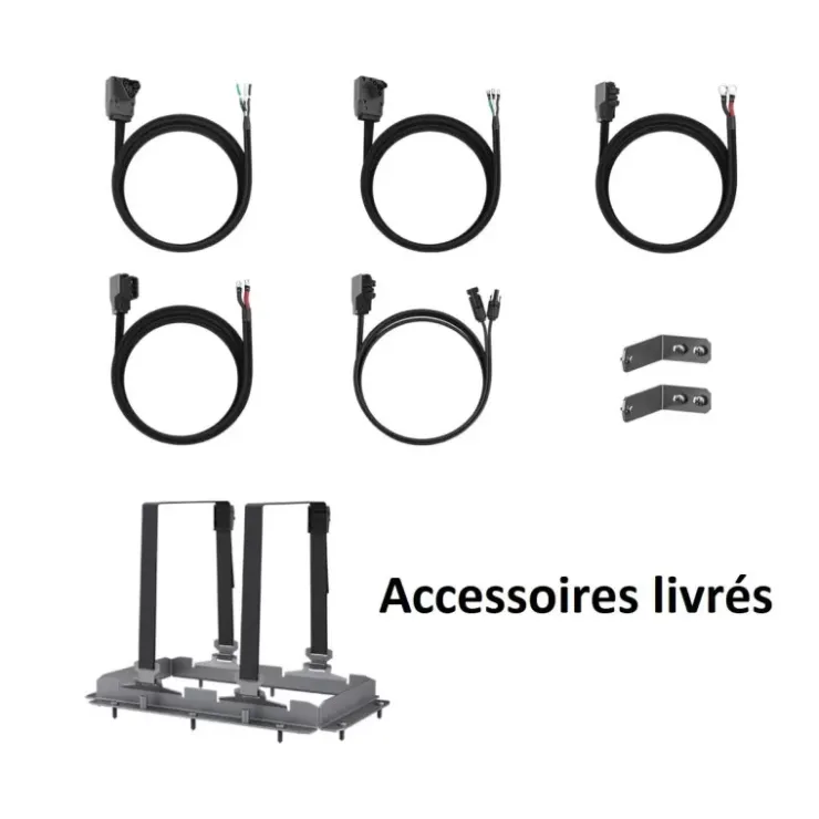 Online EcoFlow Kit Energy 4 kWh