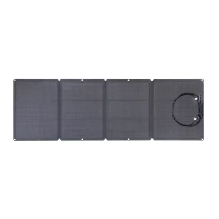 Hot EcoFlow Panneau solaire 110 W