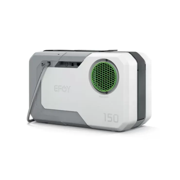 Online Efoy 150