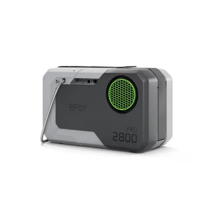 Online Efoy Pro 2800