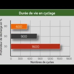 Best Energie Mobile EM Batterie AGM plomb carbone 110Ah