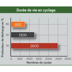 Discount Energie Mobile EM Batterie AGM 6V 460Ah