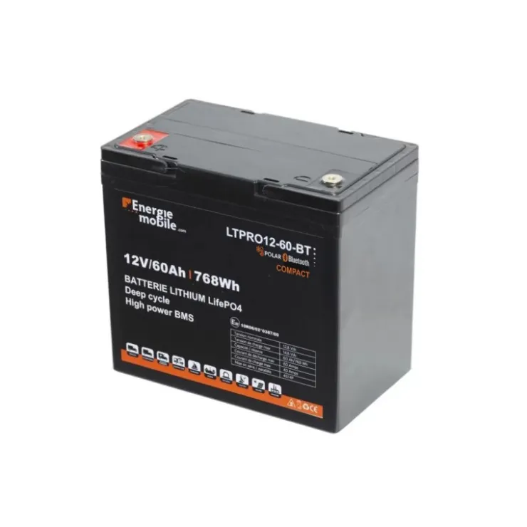 Energie Mobile EM Batterie Lithium LTPRO 12-60 AH HD-P-BT - 768 Wh