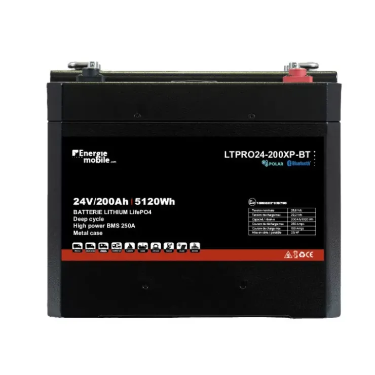New Energie Mobile EM Batterie Lithium LTPRO 24-300 Ah XP-BT | 7680 Wh
