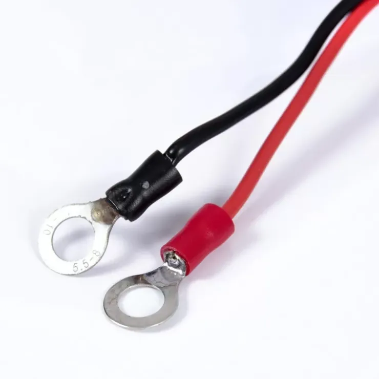 New Energie Mobile EM Chargeur 230/12V - MCH12-12 IP67