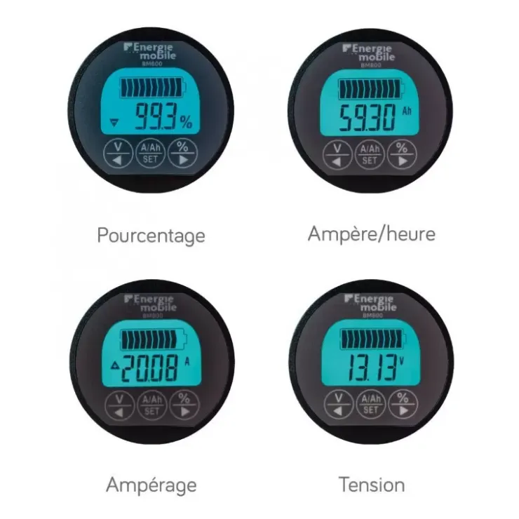 Best Energie Mobile EM Contrôleur BM800