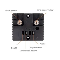 Outlet Energie Mobile EM Sauvegarde batterie SBM60 | 60A
