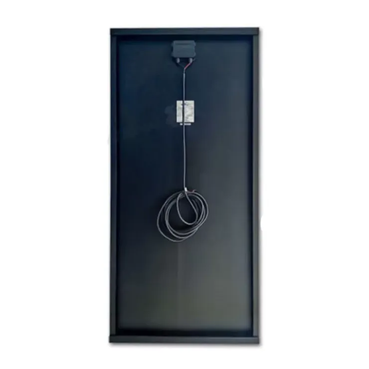 New ExtraSUN Panneau solaire PERC 200 W | avec supports