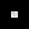 Best Fastmount Clip mâle PC-M1B | Standard Range