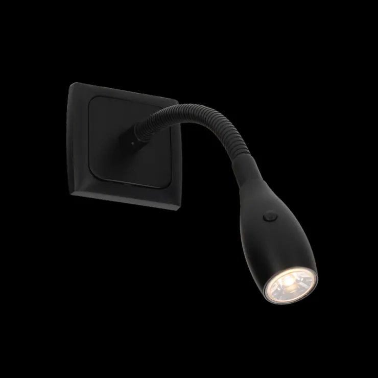 Best Haba C-line Furnari 2.0 Flex spot noir