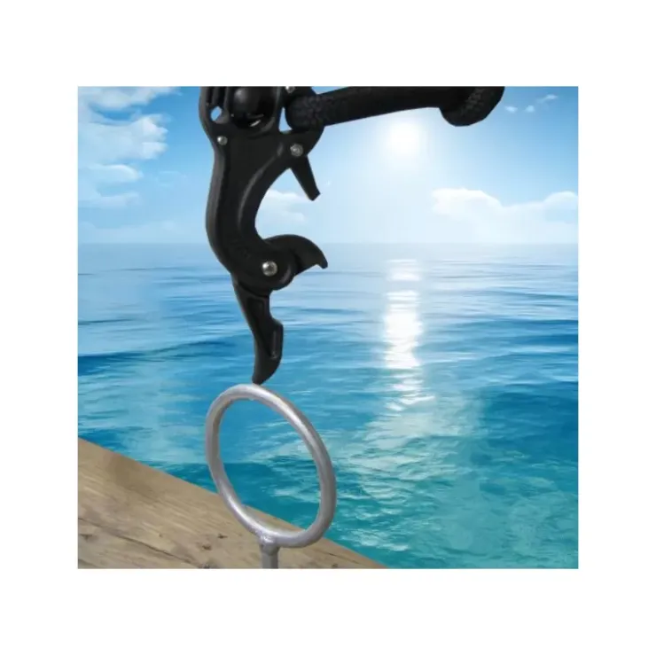 Best HANDYDOCK Gaffe télescopique