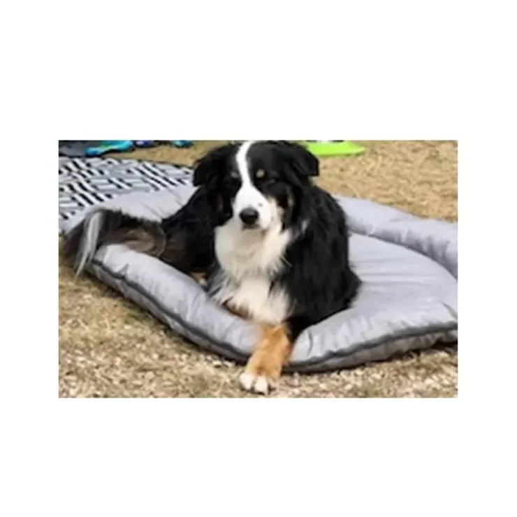 Hot Holiday Travel HT Tapis pour chien matelassé