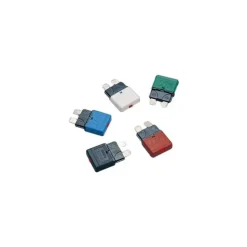 Hot Iaty Fusible enfichable disjoncteur auto x 5