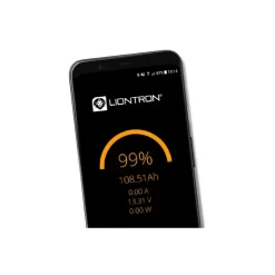 Sale Liontron Batterie lithium 12 V | 100 Ah - 1280 Wh