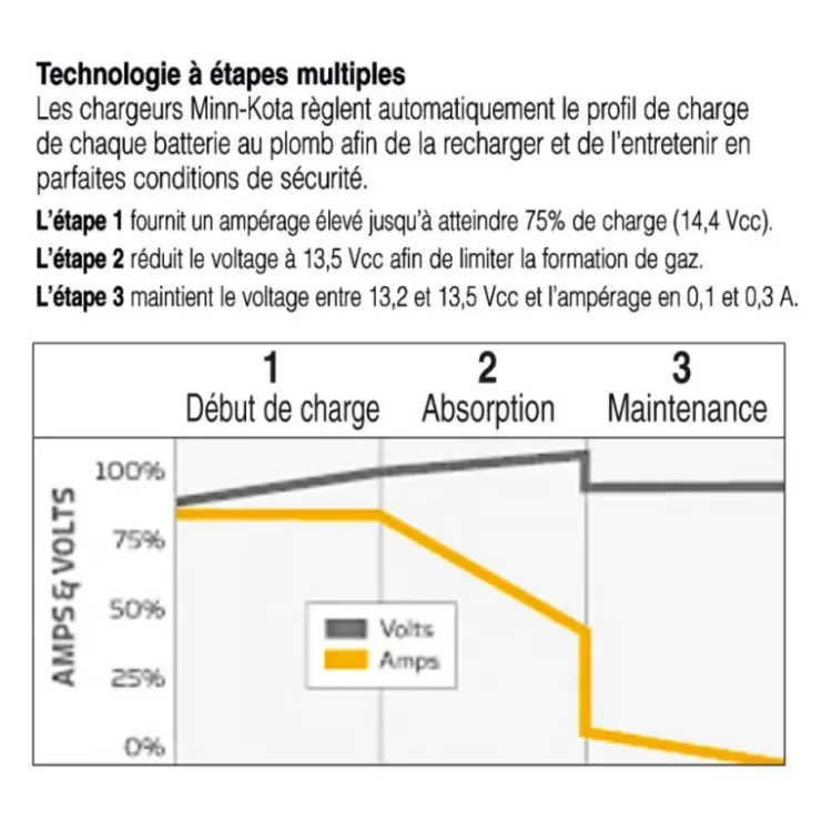 Online Minn Kota Chargeur de batterie portable 12/230 V | 5 ou 10 A