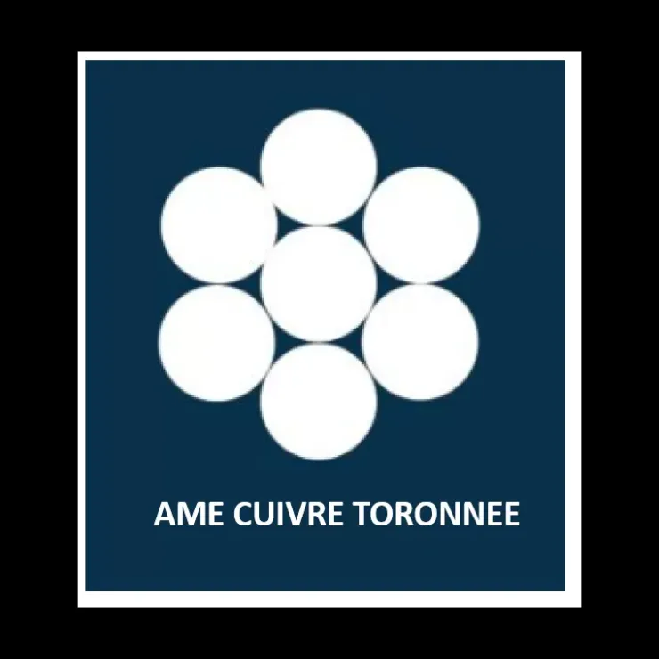 New OMERIN Câble sur-gainé 2 x 10 mm²