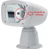 Online Osculati Ampoule de rechange pour projecteur Deluxe Classic 12-24V