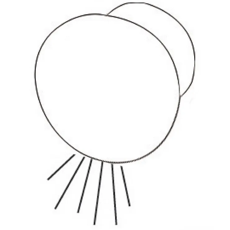 Sale Osculati Round Lumière de courtoisie LED à encastrer