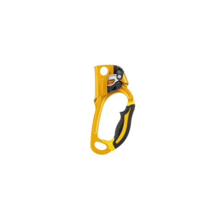 Discount PETZL Ascension
