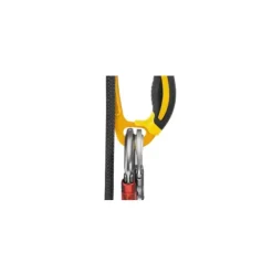 Discount PETZL Ascension
