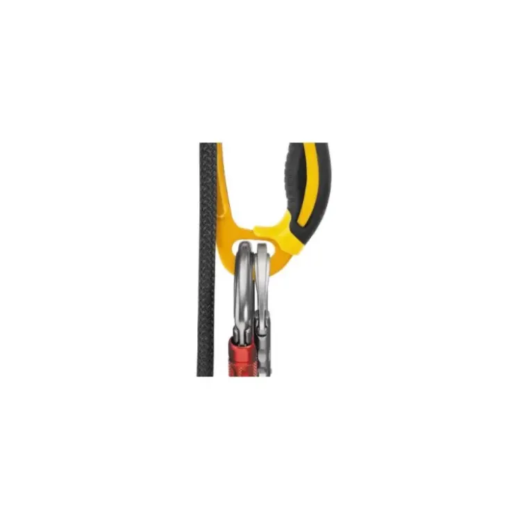 Discount PETZL Ascension