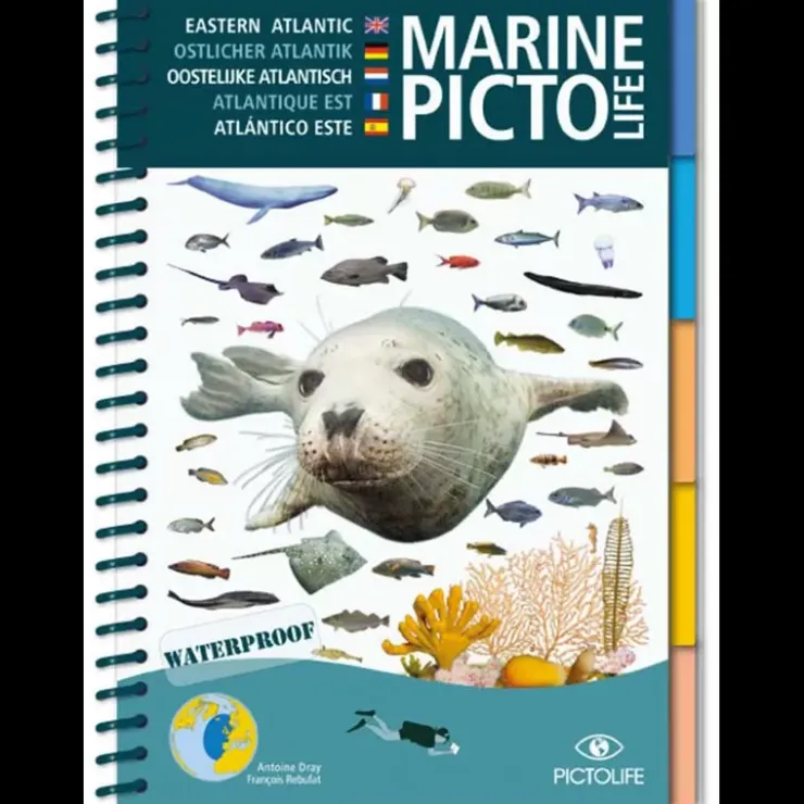 Clearance PICTOLIFE Guide Marine
