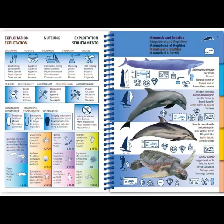 Clearance PICTOLIFE Guide Marine