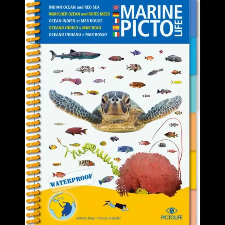 Clearance PICTOLIFE Guide Marine