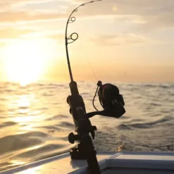 Hot RAILBLAZA HEXX Rod Holder II + Base HEXX