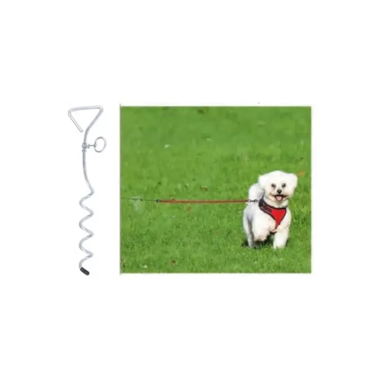 Sale Reimo Piquet pour chien 40 cm