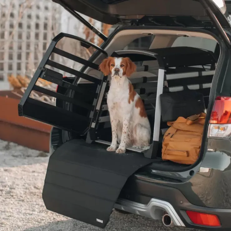 Best Thule Allax