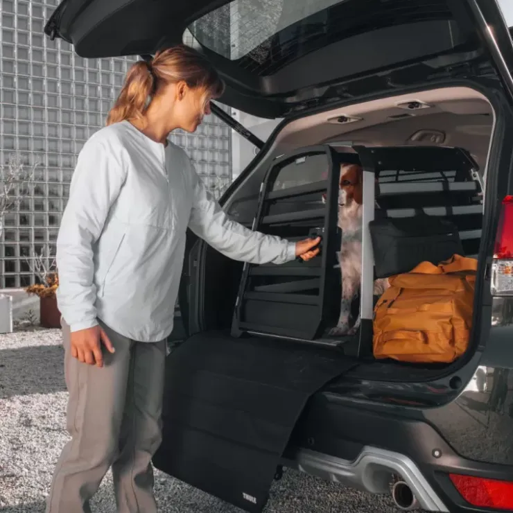 Best Thule Allax